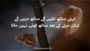 Dosti Shayari in Urdu 
