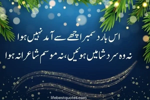 Life Quotes in Urdu, December Poetry